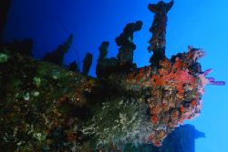 Bow of the Jane C., Aruba. Nikonos V, 20mm lens, Ikelite ... by Matthew Shanley 